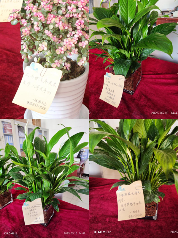 ag8亚集团九游会官方网站|管理学院|手植绿茵 播洒希望