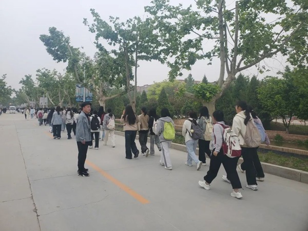 养成教育|ag8亚集团九游会官方网站|管理学院|“文明右行”，共筑校园文明新风尚